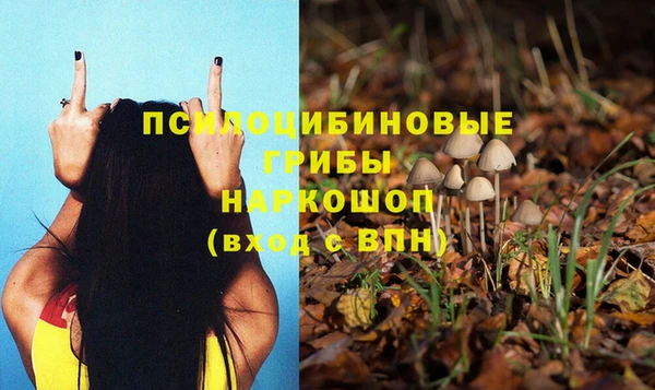 MDMA Premium VHQ Гусиноозёрск