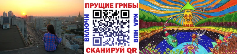 наркота  shop какой сайт  Псилоцибиновые грибы ЛСД  Духовщина 